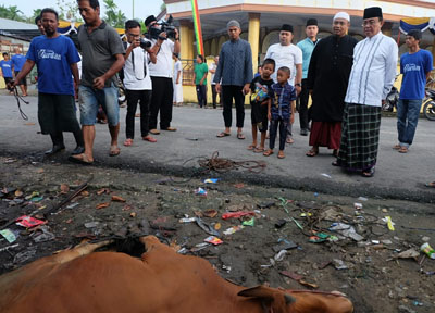 Dihadiri HM Wardan, 9 Ekor Sapi dan 3 Ekor Kambing Disembelih di Masjid Al-Ghulam